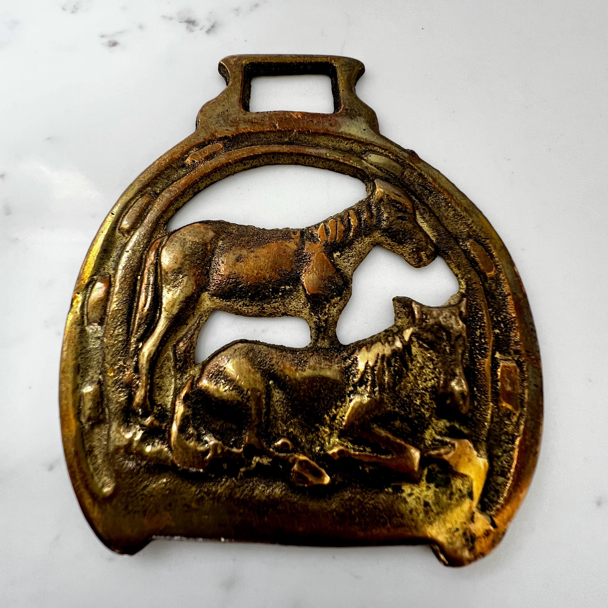 Vintage horse brass medallion necklace with paisley scarf, equestrian boho jewelry.