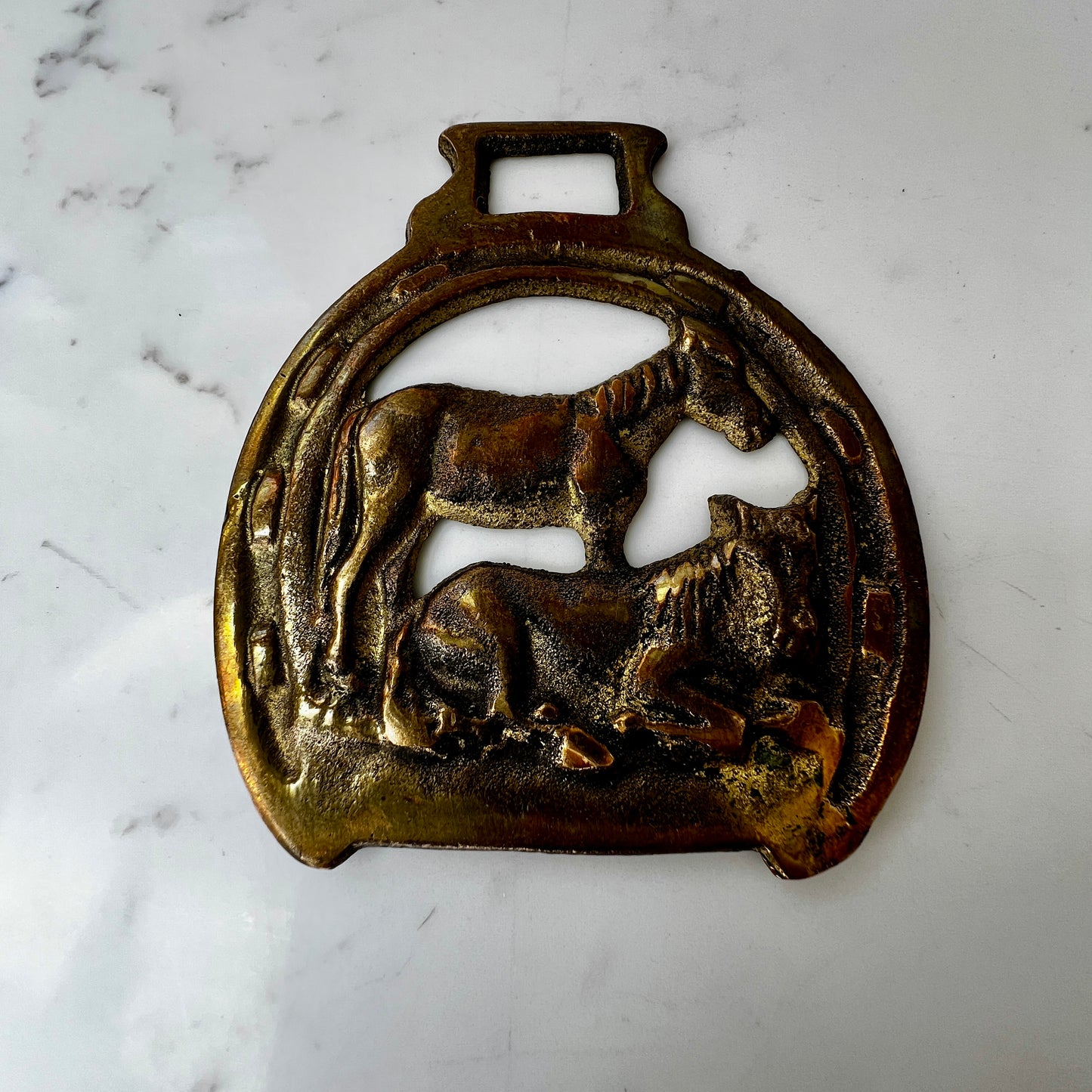 Vintage horse brass medallion necklace with paisley scarf, equestrian boho jewelry.