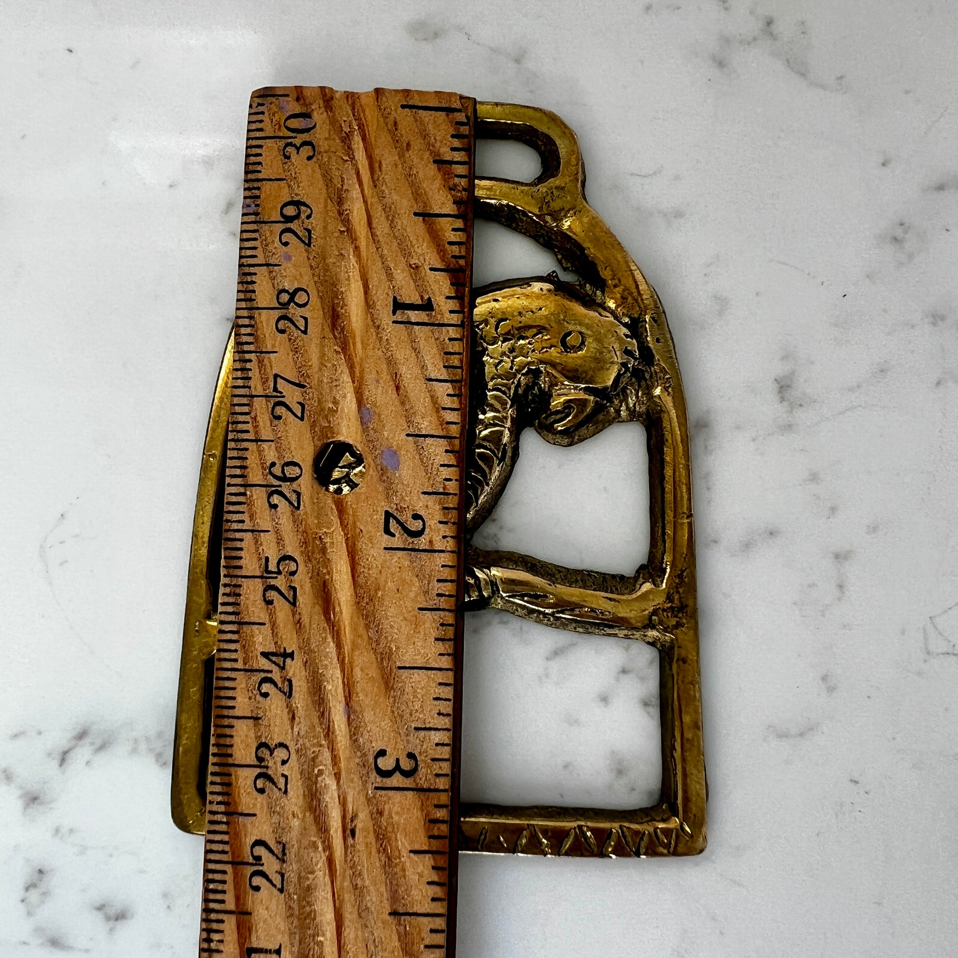 Measurements of Vintage parrot brass medallion 