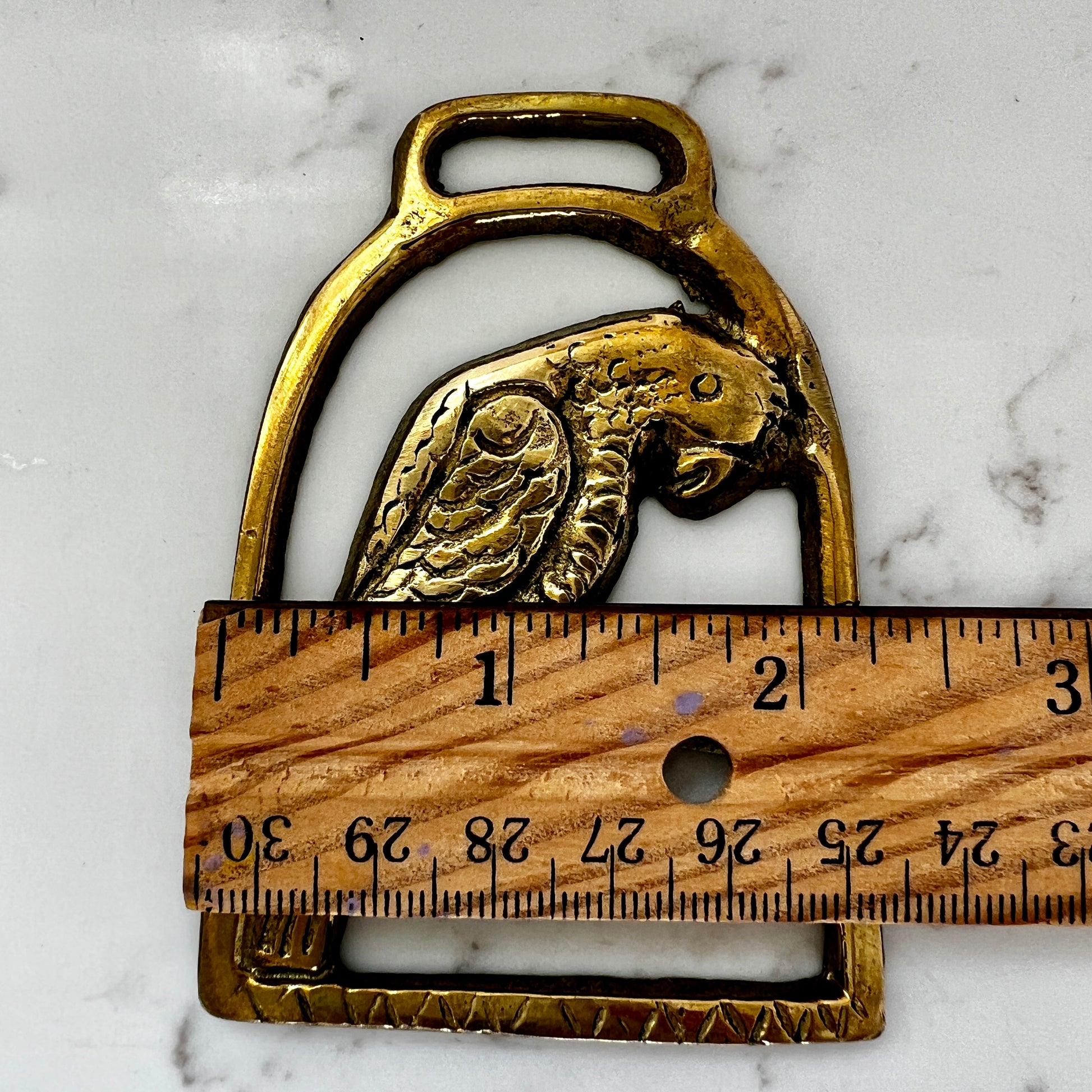Measurements of Vintage parrot brass medallion 