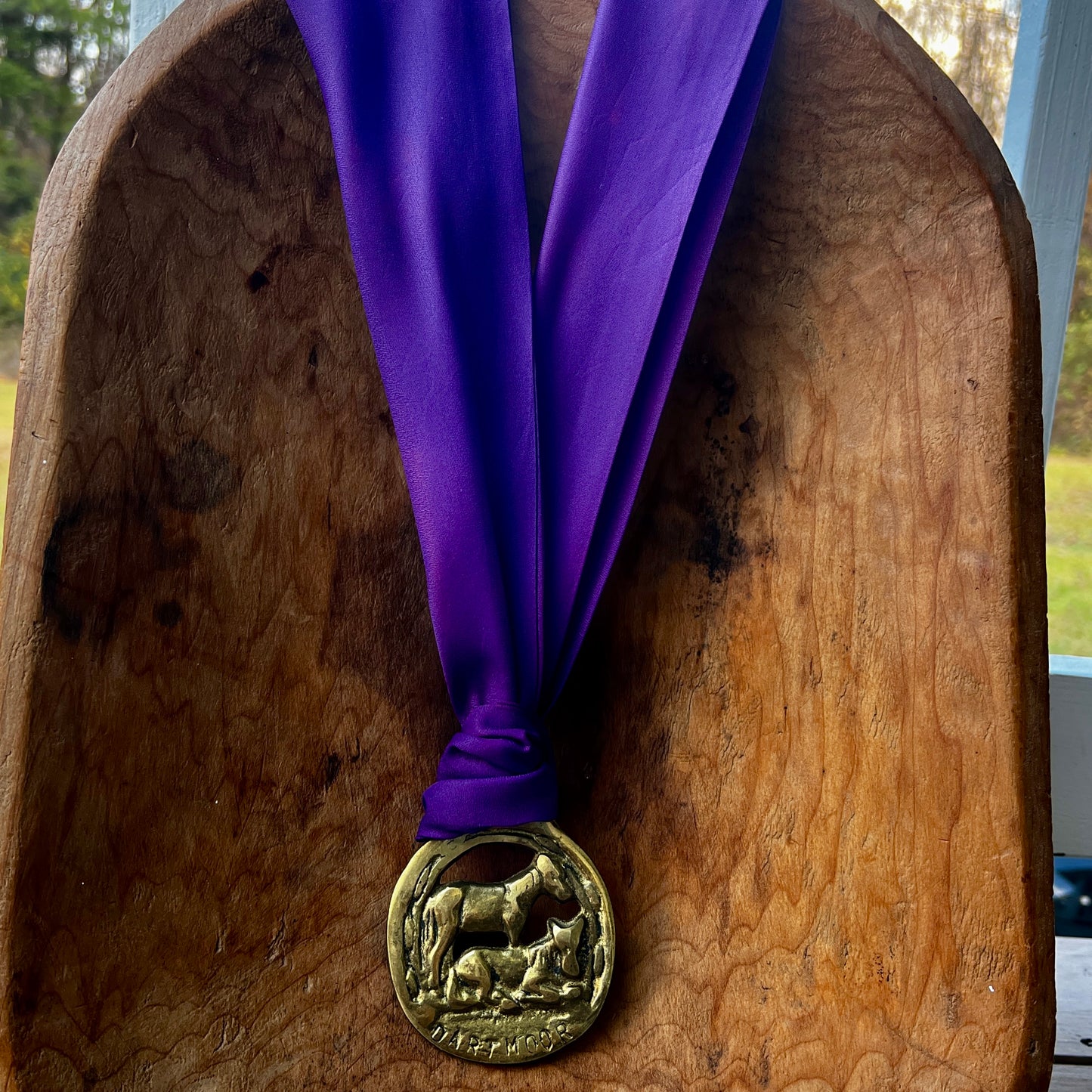 Vintage Dartmoor horse brass medallion necklace with deep purple scarf, equestrian jewelry.