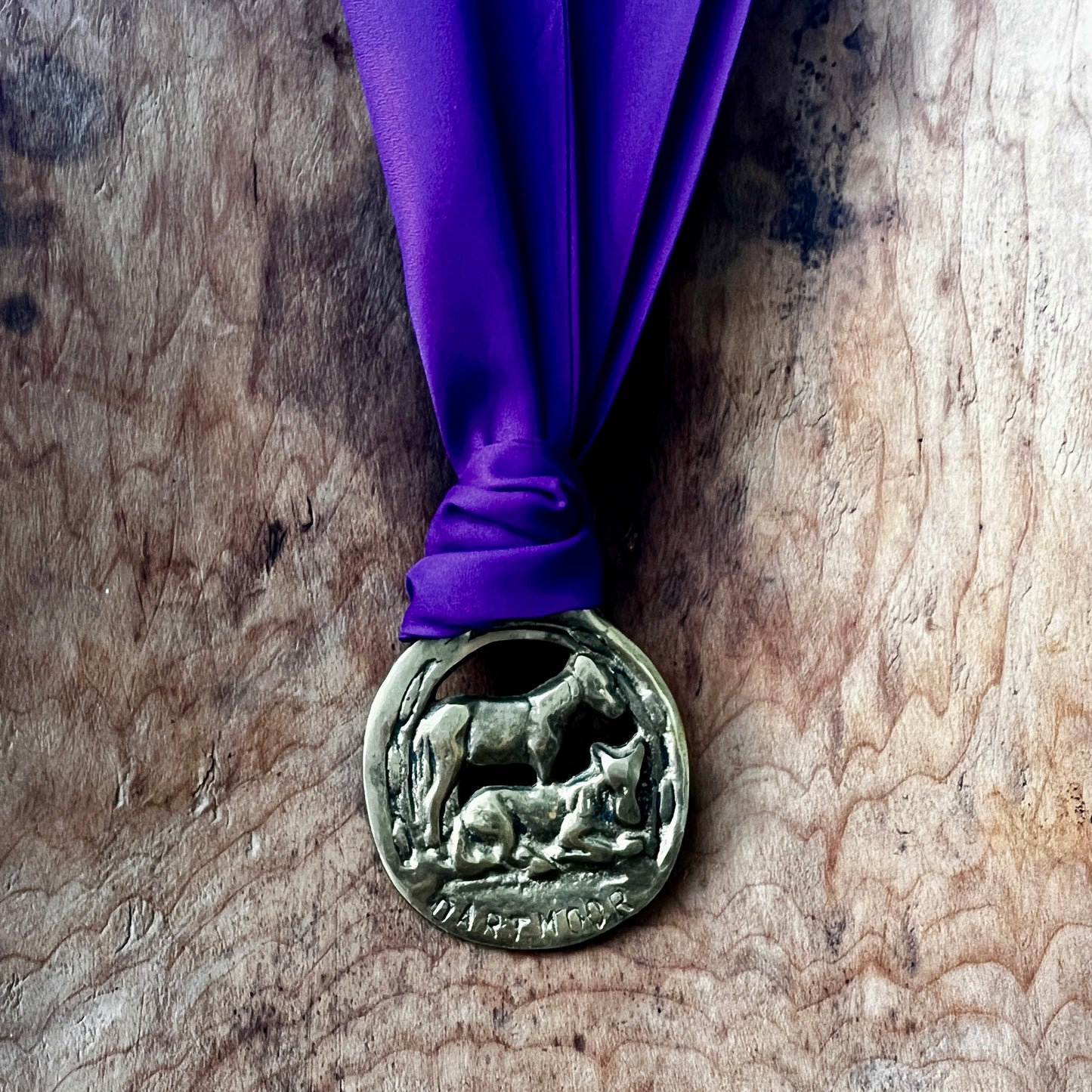 Vintage Dartmoor horse brass medallion necklace with deep purple scarf, equestrian jewelry.
