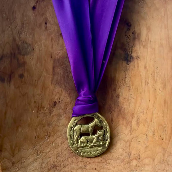 Video Vintage Dartmoor horse brass medallion necklace with deep purple scarf, equestrian jewelry.