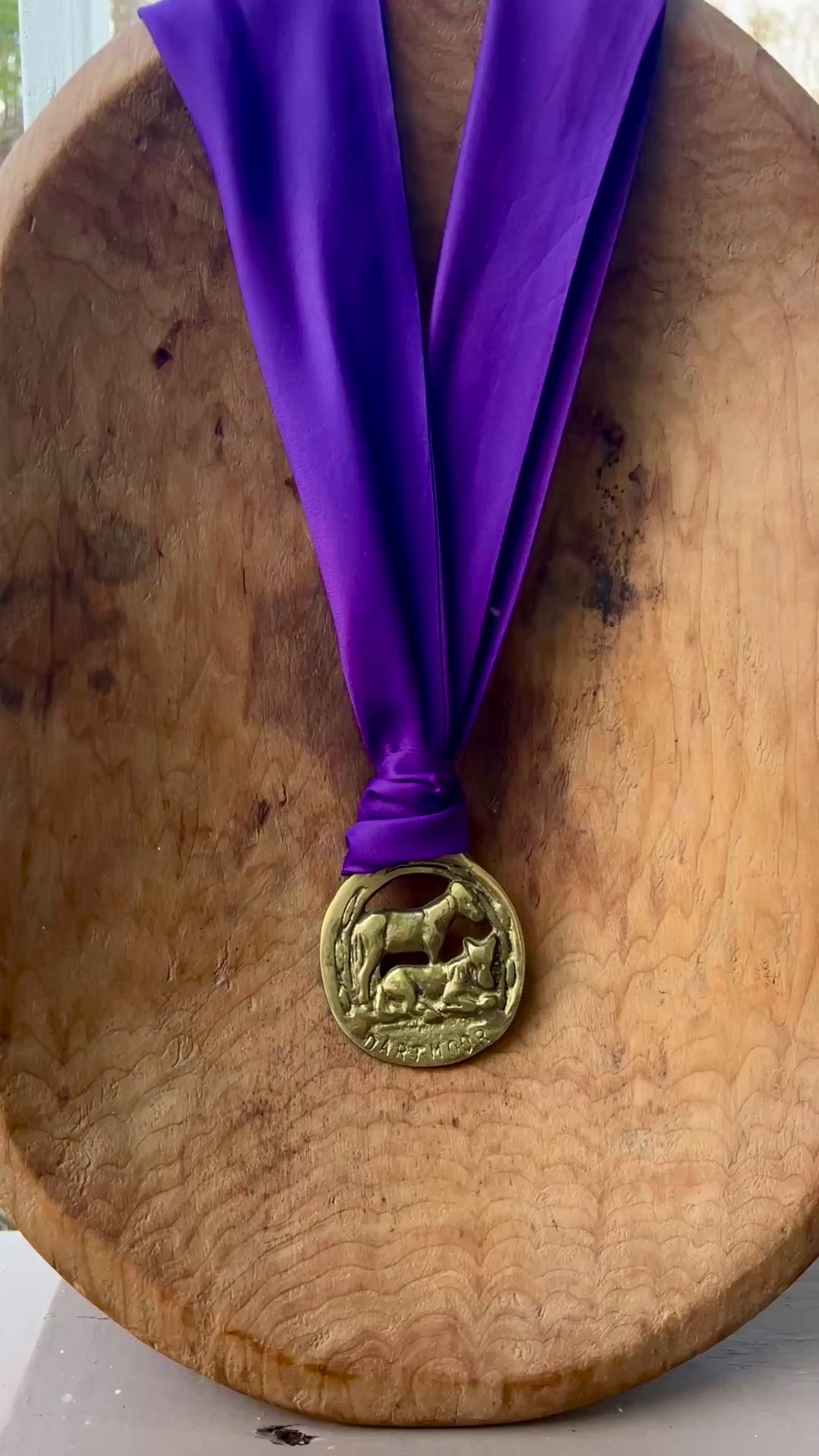 Video Vintage Dartmoor horse brass medallion necklace with deep purple scarf, equestrian jewelry.