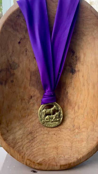 Video Vintage Dartmoor horse brass medallion necklace with deep purple scarf, equestrian jewelry.