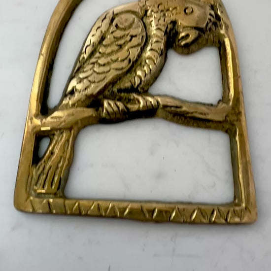 Video of Vintage parrot brass medallion 