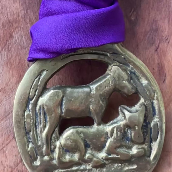 Video Vintage Dartmoor horse brass medallion necklace with deep purple scarf, equestrian jewelry.