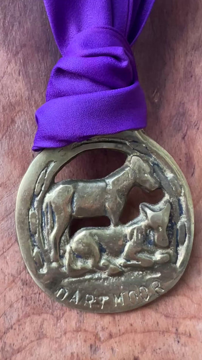 Video Vintage Dartmoor horse brass medallion necklace with deep purple scarf, equestrian jewelry.