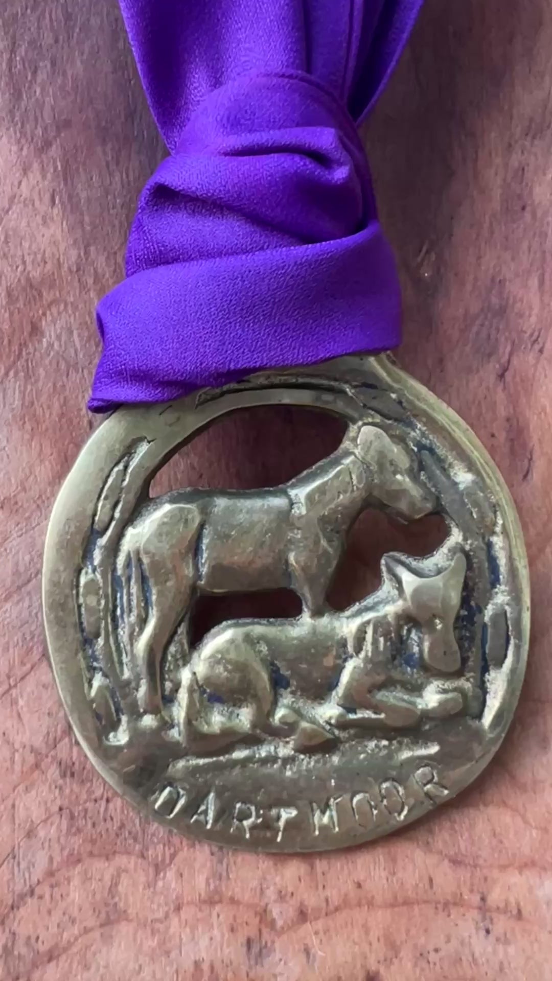 Video Vintage Dartmoor horse brass medallion necklace with deep purple scarf, equestrian jewelry.